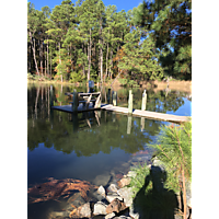 Day after the king tide York county Poquoson image